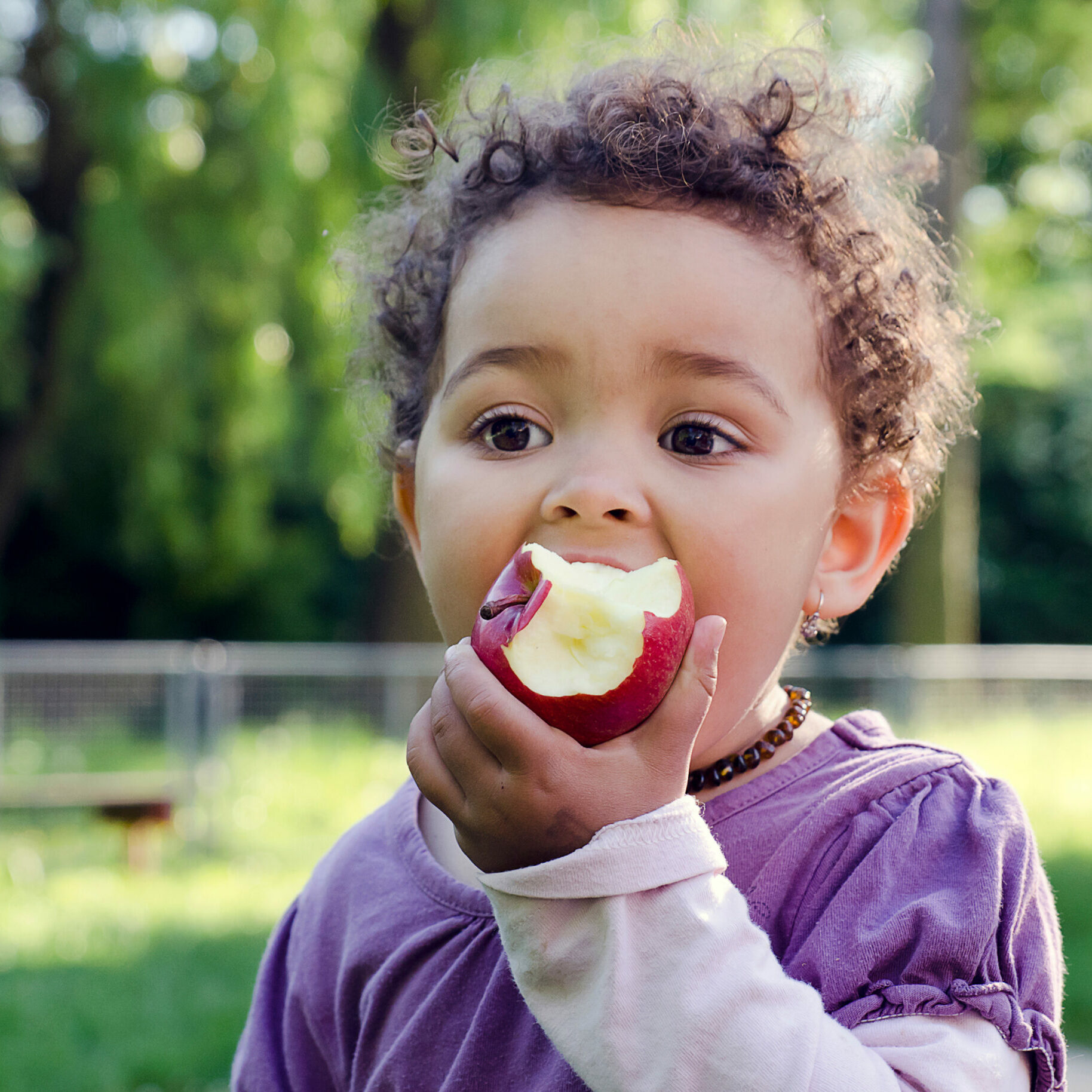 Child child eating an apple in a park in nature.