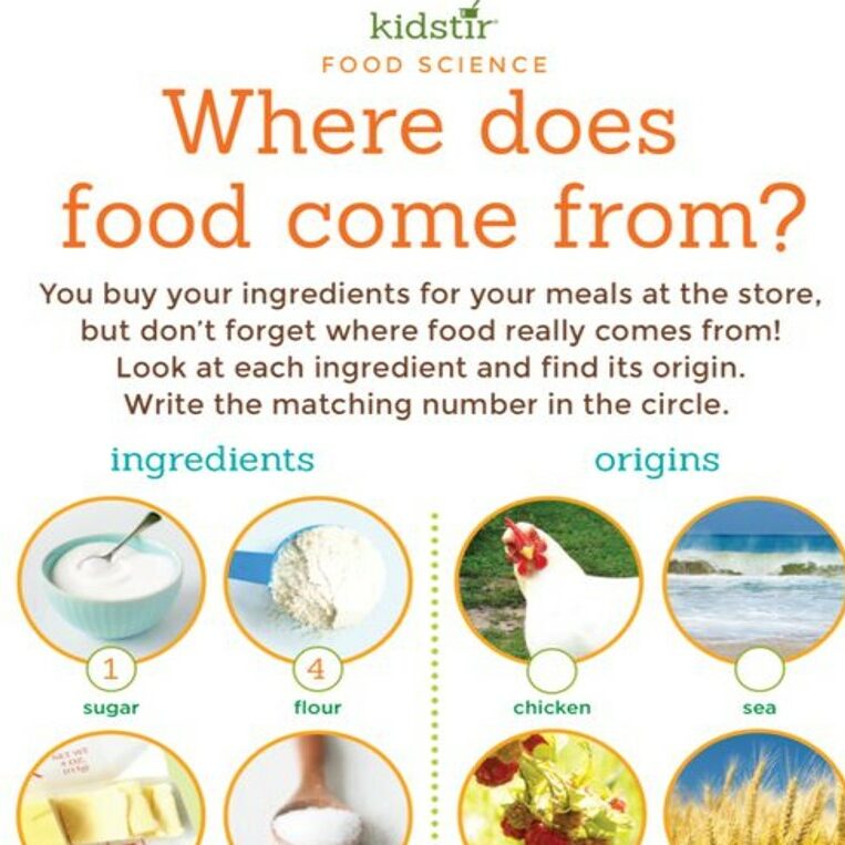 Where does food come from? - Quiz